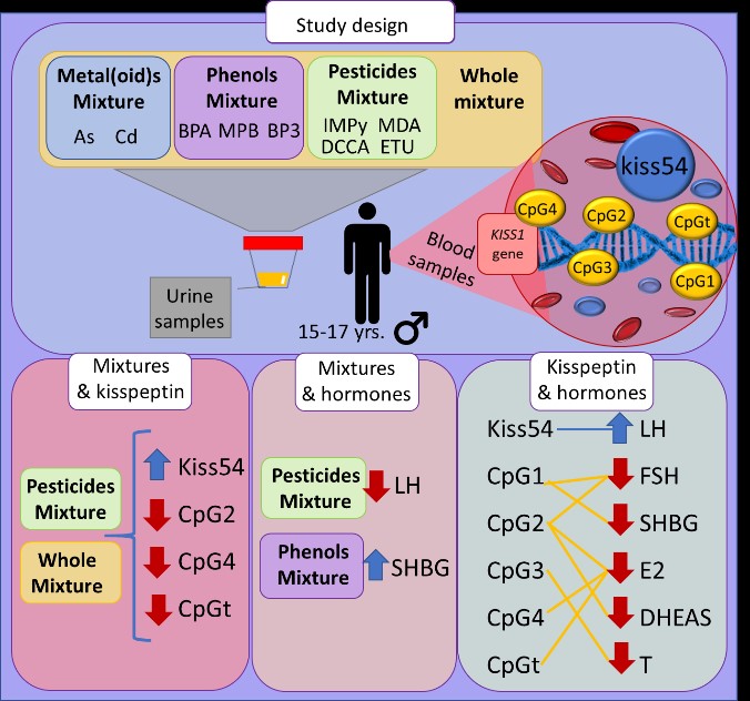 Short-term PM2.5 exposure and cognitive function: Association and  neurophysiological mechanisms - ScienceDirect